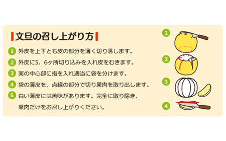 成田果樹園の土佐文旦10kg家庭用A
