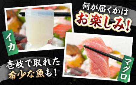 【先行予約】【厳選】 壱岐島 贅沢刺身セット4〜5人前（80g×6パック） 【2025年1月以降順次発送】 《壱岐市》【あかりや】 冷凍配送 お刺身 刺し盛り 刺盛り 鮮魚 海鮮 海鮮丼 お造り 小分