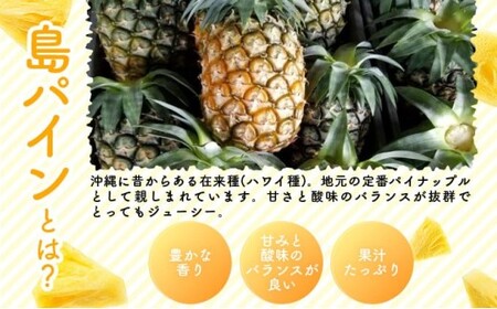 2026年 先行予約 定期便 3ヶ月 南国フルーツ 定期便D ピーチパイン 島パイン シークヮサー 計3種類 果物 フルーツ 3回 お楽しみ