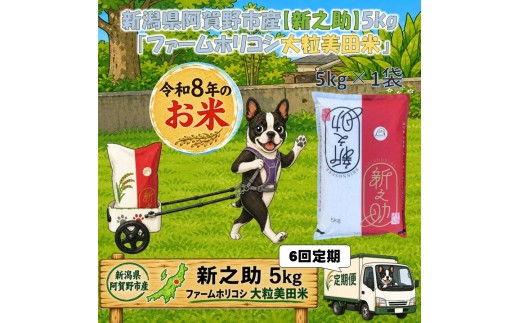 【令和8年産新米】【6か月定期便】阿賀野市産 新之助「ファームホリコシ 新之助」 5kg×6回  白米 精米 新潟県 米 こめ コメ 新米 新米予約 令和8年産 10月上旬頃より発送開始予定 3H18073