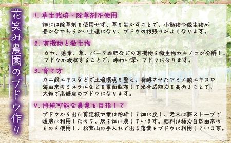 【2616-0470】岡山 花笑み農園『ぶどうの宝石箱』3種以上(36粒入り)3M-宝36