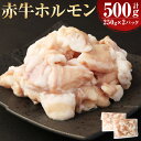 【ふるさと納税】赤牛 ホルモン 約500g（約250g×2パック）あか牛 牛ホルモン シロホルモン 小腸 牛肉 和牛 肉 お肉 もつ鍋 もつ煮込み 焼肉 焼き肉 やきにく 冷凍 お取り寄せグルメ 熊本県 湯前町 送料無料