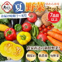 【ふるさと納税】【先行予約】農家直送 夏野菜セット 1箱 7品目以上 《元気に育った新鮮野菜！》／ 5000円 季節 夏 野菜 ボックス BOX セット セレクト 農家 おまかせ 多品目 旬 詰め合わせ ※2024年7月中旬以降発送