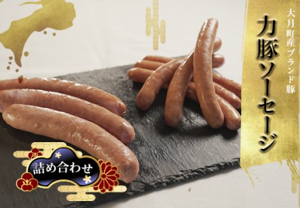 【国産】力豚 ソーセージ6本×2 フランクフルト3本×3 詰め合わせ ウインナー 食べ比べ おすすめ