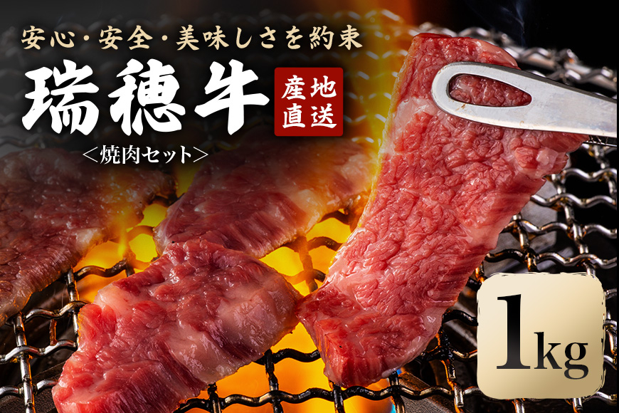 
            瑞穂牛焼肉セット 1.0Kg 牛肉 やきにく バラ 肩ロース 肩 肩バラ トモサンカク イチボ ブランド牛 冷凍配送 茨城県 お中元 焼肉の日 敬老の日 常陸牛 焼肉 盛り合わせ 食べ比べ 国産 肉 BBQ セット ho0903
          