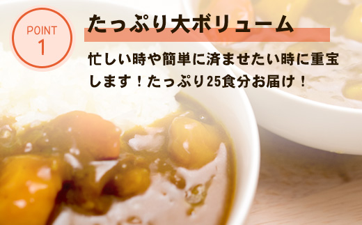 カレー専門店Sabziオリジナル野菜カレー 180g×25食(合計4.5kg) レトルト 簡単調理 長期保存 朝カレー ランチ