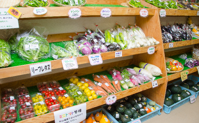 南ふらの産 じゃがいも 男爵 ＆ きたあかり 約10kg【サイズ