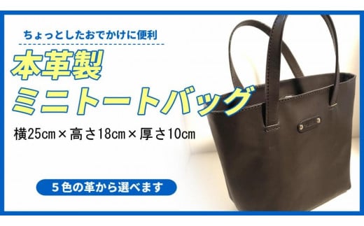 
本革製ミニトートバッグ
