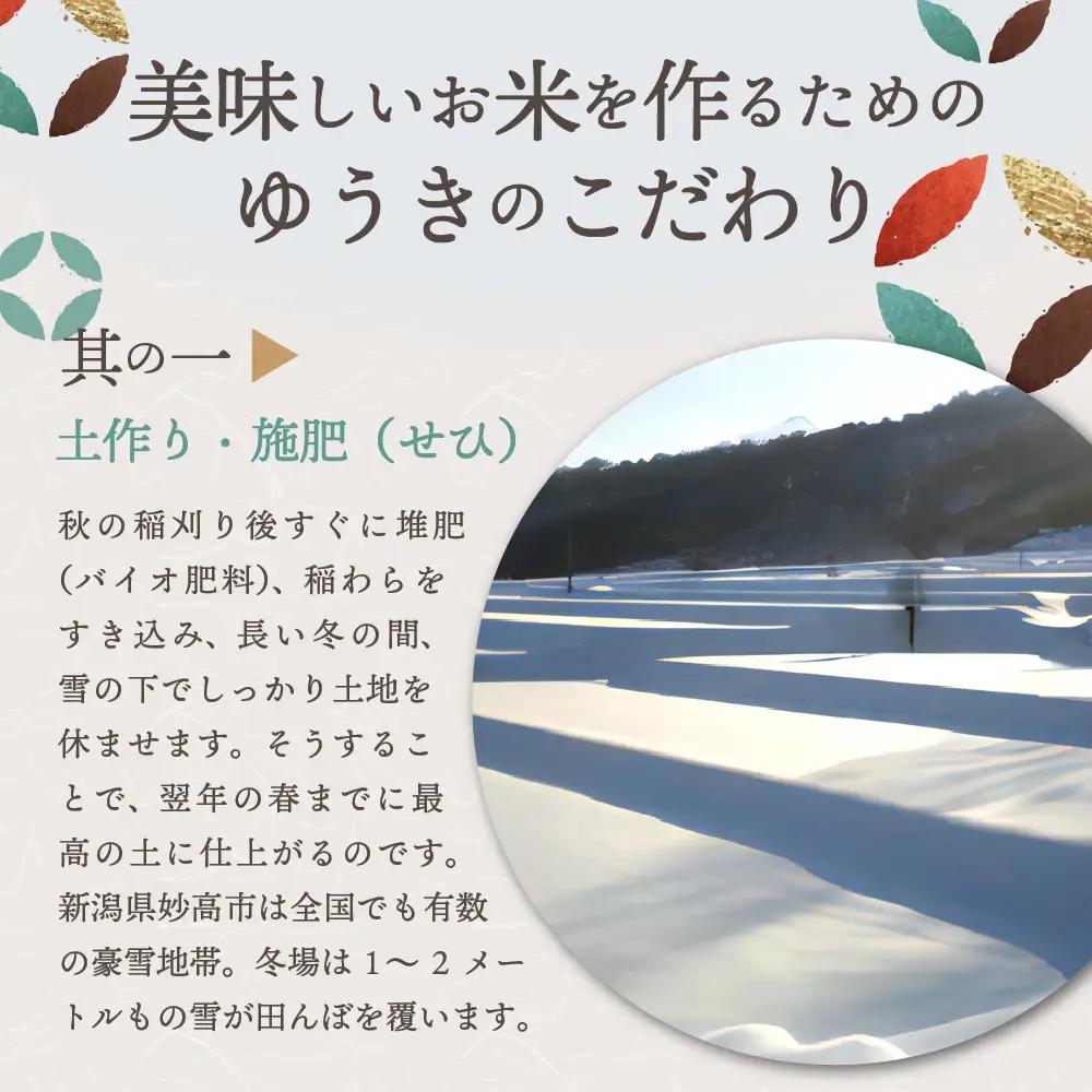【2026年7月中旬発送】令和7年産 新潟県妙高産斐太の里コシヒカリ「旬」2kg