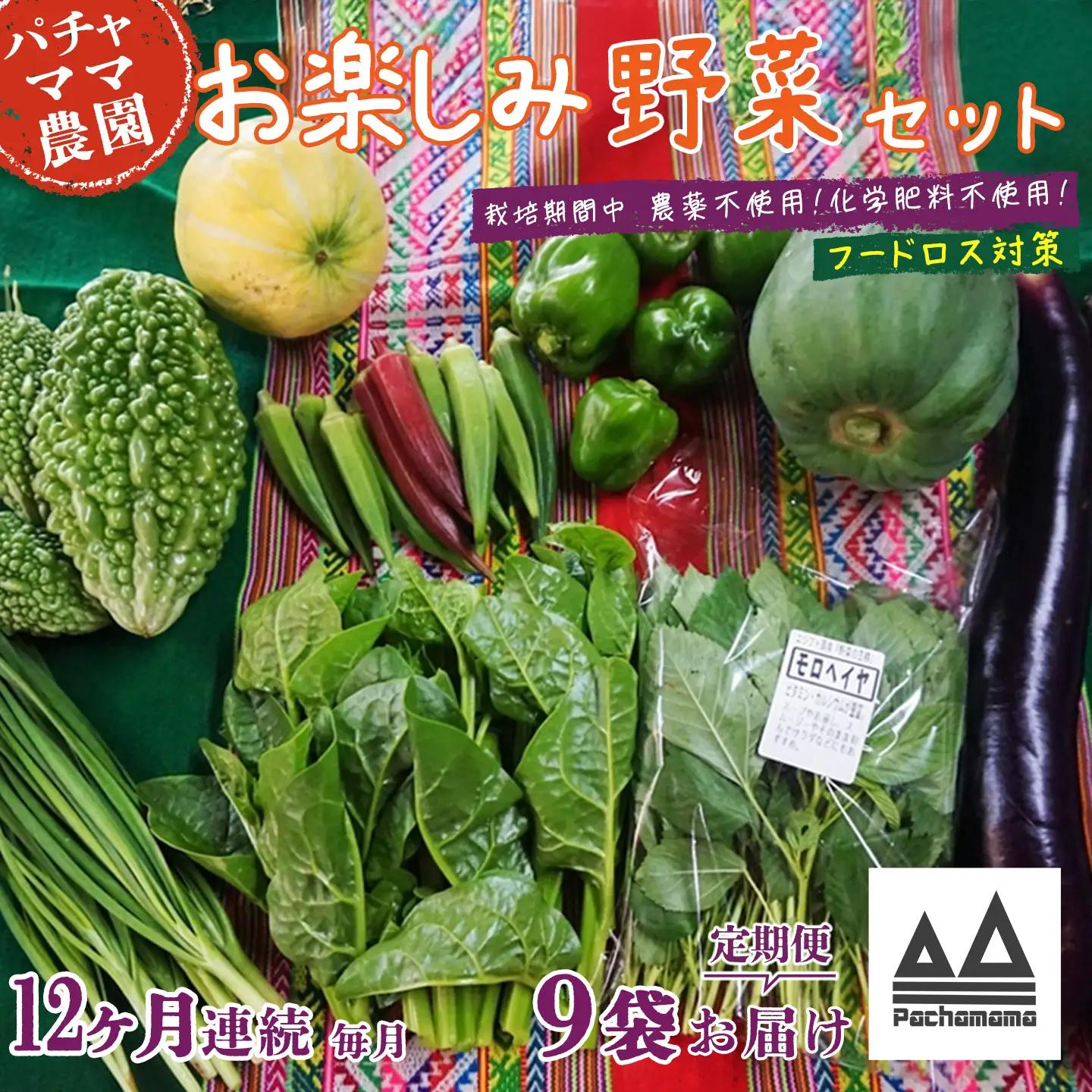 野菜 9袋 訳あり 12ヶ月 定期便 詰め合わせ お任せ 旬 野菜