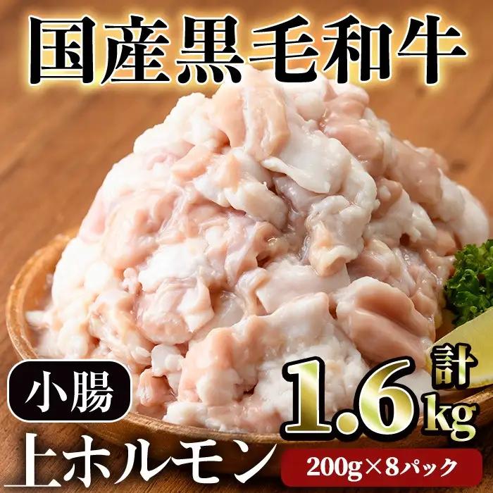 国産 黒毛和牛 小腸 ホルモン 上 焼肉 （計1.6kg）【LRプラスK】A828