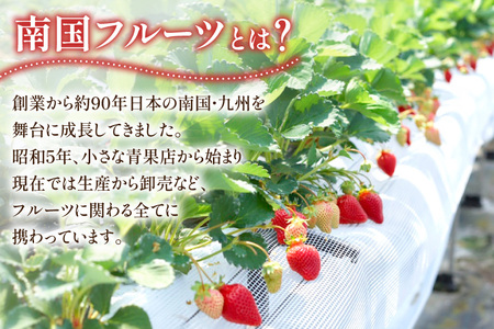 【期間限定発送】いちご あまおう 4パック いちご