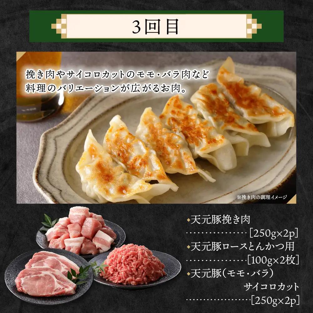 【4ヶ月定期便】 豚肉 天元豚 食べ比べ 全4回 豚肉