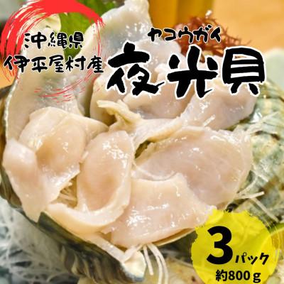 ふるさと納税 伊平屋村 夜光貝 3パック 800g(1パックあたり200g〜300g)