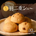 【ふるさと納税】福井の銘菓を洋菓子で味わう 「ミニ羽二重シュー」 5個入り × 2箱セット【米粉 シュークリーム ギフト お歳暮 敬老の日 お中元 夏ギフト】送料無料