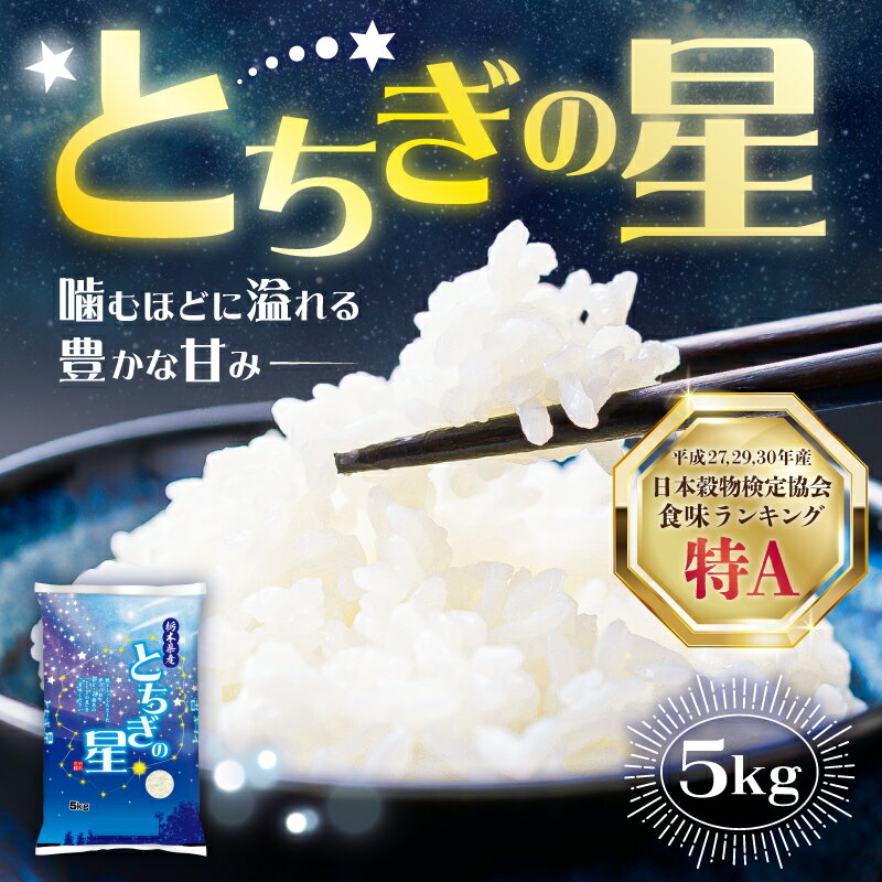 【ふるさと納税】 令和7年度産　栃木県産とちぎの星　精米　5kg【栃木県共通返礼品】 栃木県産 那須塩原市 米 精米 とちぎの星 国産 お米 ごはん おにぎり 送料無料