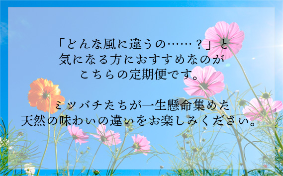 国産完熟生はちみつ 百花蜜（非加熱蜂蜜）春のはちみつ・秋のはちみつ食べ比べ 130gが2回届く定期便