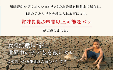 LIFEBREAD 10本 110g サクセム株式会社《30日以内に出荷予定(土日祝除く)》和歌山県 紀の川市 防災備蓄 賞味期限5年以上 ライフブレッド ブレッド