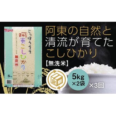 ふるさと納税 山口市 阿東こしひかり(無洗米5キログラム×2)3か月定期便 A113