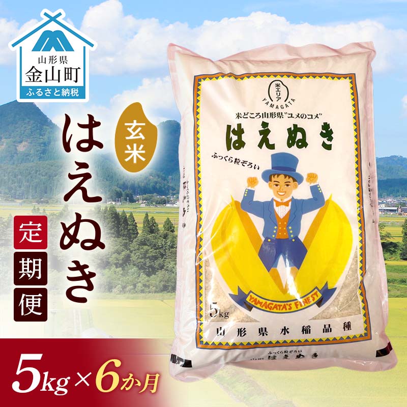 【ふるさと納税】 令和7年産《定期便》 金山産米 はえぬき【玄米】（5kg）×6ヶ月計30kg 定期便 6ヶ月 米 お米 ご飯 玄米 ブランド米 送料無料 東北 山形 金山町 F4B-0675