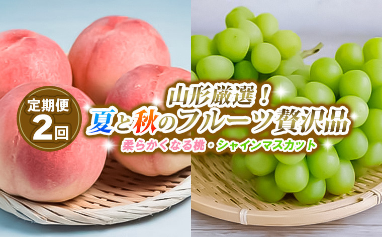 
            【定期便2回】山形厳選！夏と秋のフルーツ贅沢品(柔らかくなる桃、シャインマスカット) 【令和7年産先行予約】FS24-746
          