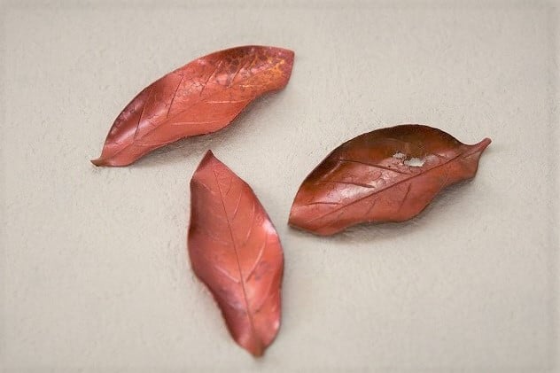 
                  木の葉の箸置きLセット 3個入り(桐箱入り) FC016215
                