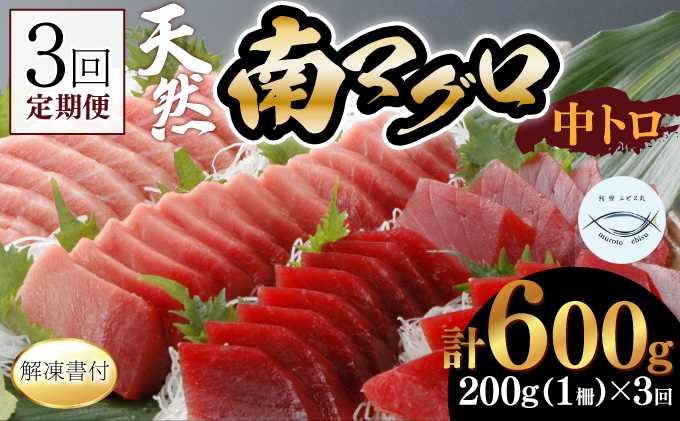 【３回定期便】天然南マグロ　中トロ　１柵　解凍書付 海鮮 魚介 鮪 惣菜 冷凍 ミナミマグロ