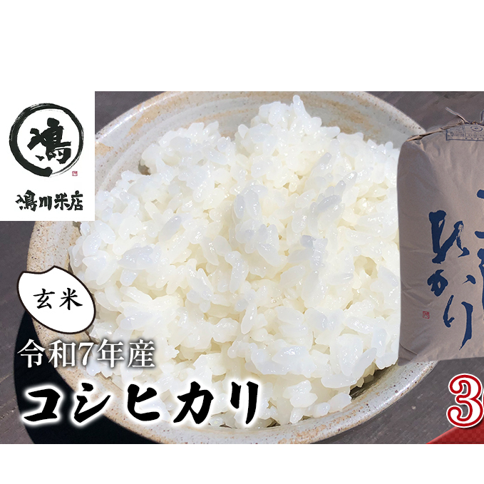 千葉産　令和7年コシヒカリ　玄米30kg【 お米 粘りつやつや 甘み】 ほんのり甘み 食感 新鮮 