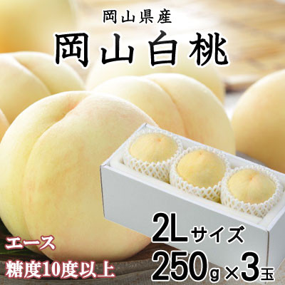
            ＜先行受付＞岡山白桃 エース 3玉×250g(2Lサイズ) 岡山県産【1305725】
          