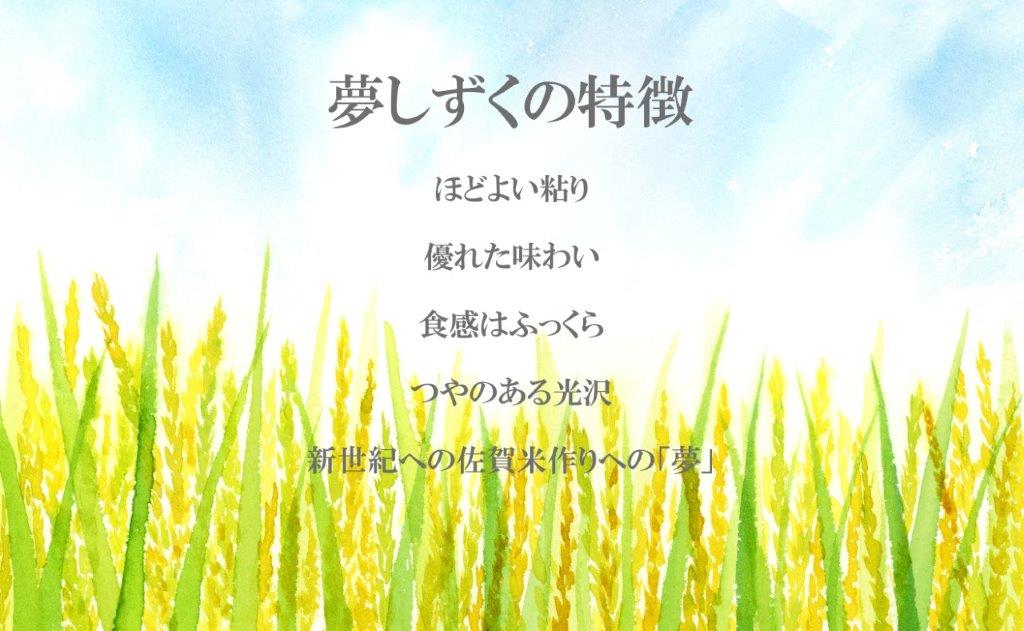 FE040_【6回定期便】令和5年産夢しずく10kg(5kg×2セット)／みやき町