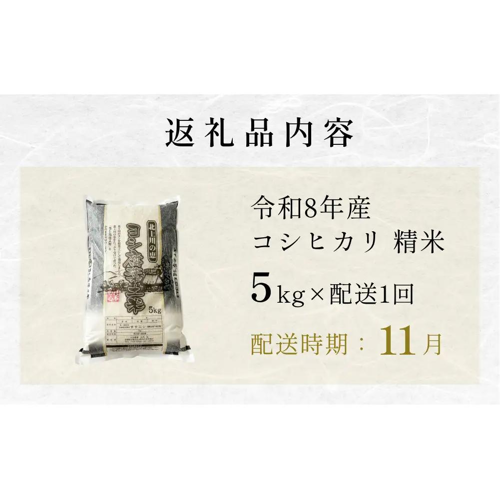【11月配送】 ＜先行予約＞ 米 令和8年産 コシヒカリ 精米 5kg 単品 新米 こめ コメ お米 ご飯 白米 こしひかり