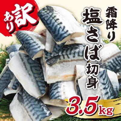 ふるさと納税 銚子市 【訳あり】霜降り塩さば切身 約3.5kg
