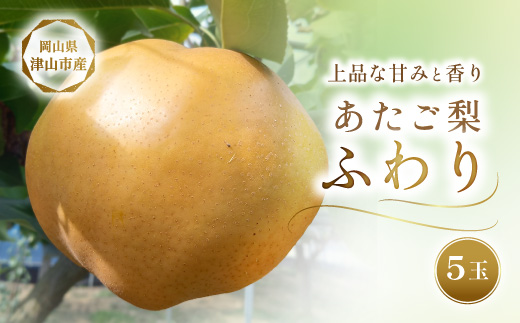 2026年11月下旬より順次発送予定　あたご梨 ふわり(5玉入り)