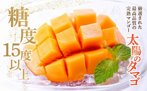 《2026年発送先行予約》【数量・期間限定】宮崎県産 太陽のタマゴ 1玉_M184-003_02