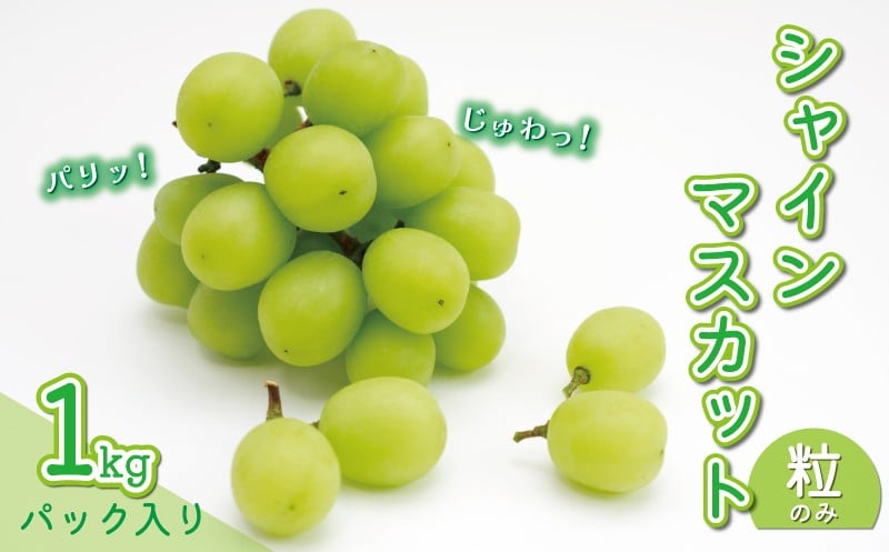 
            数量限定 シャインマスカット 粒のみ パック入り 1kg 9000円 家庭用 国産 ぶどう マスカット バラ詰め バラ粒 フルーツ 果物 期間限定 新鮮 果実 産地直送 農家直送 特産品 甘い さわやか ジューシー 不揃い 第一マルエム 愛南町 愛媛県


          