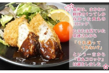 コロッケ 16個 ｜コロッケ TKM