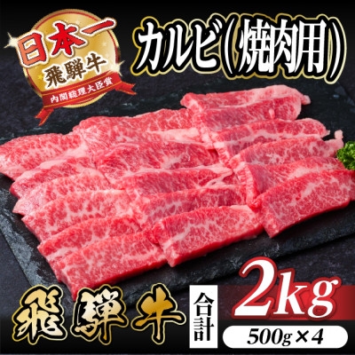 
                  飛騨牛 厳選カルビ(焼肉・BBQ用) 2kg(500g×4)　黒毛和牛　小分け　A4～A5等級_飛騨牛 黒毛和牛 カルビ 焼肉 BBQ バーベキュー 牛肉 和牛 精肉 肉 旨み おすすめ アウトドア キャンプ お取り寄せ グルメ 岐阜県 送料無料【1543786】
                