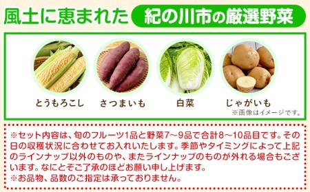 旬のフルーツ＆野菜セット8~10品