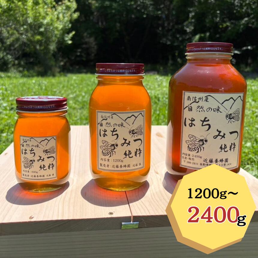 【ふるさと納税】純粋 蜂蜜【長野県飯田市産】選べる容量 | 蜂蜜 はちみつ 養蜂 長野県 飯田市 信州