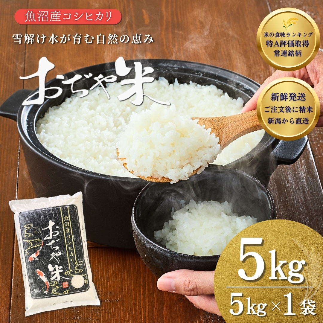 令和7年産 魚沼産コシヒカリ 5kg JA魚沼 【0002-JA02-03】