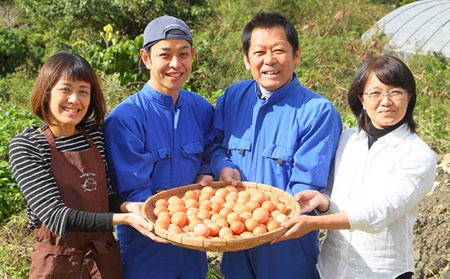 【定期便】3ヵ月連続お届け　卵の黄身が掴めるほどの新鮮さ　美ら卵養鶏場の卵　各月80個