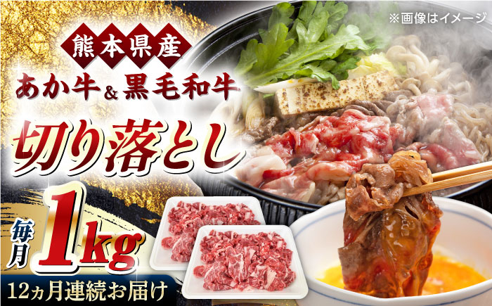 
【全12回定期便】くまもと黒毛和牛 あか牛 ミックス 切り落とし 1kg【熊本県畜産農業協同組合】 [YAD020]
