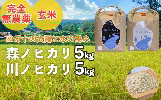【2025年産米】完全無農薬の玄米『森ノヒカリ(5kg)』『川ノヒカリ(5kg)』セット　Bnm-A22　／お米 朝日 米 数量限定 四万十 高知 チェーン除草 贈り物 ギフト プレゼント お取り寄せ お歳暮 お中元 御年賀