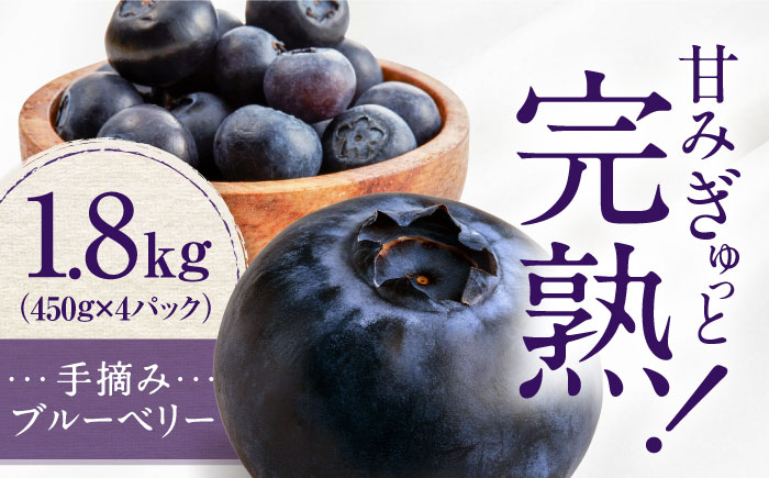 手摘み ブルーベリー 詰め合わせ 450g×4パック ＜2026年7月下旬より発送＞ ／ ブルーベリー 果物 フルーツ ベリー 国産 産地直送 農家直送 四国 愛媛県 内子町 【周年観光農園エコファームうちこ】 [BKBW001]