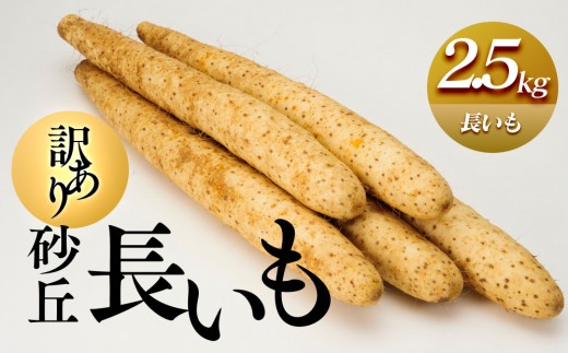 
            943.≪先行受注≫【訳あり】砂丘長いも2.5kg  長芋 ながいも 鳥取県産 ※11月上旬頃～3月下旬頃に順次発送予定【野菜 やさい 根菜 とろろ 長芋 芋 いも 鳥取県 北栄町 おすすめ 人気 送料無料】
          