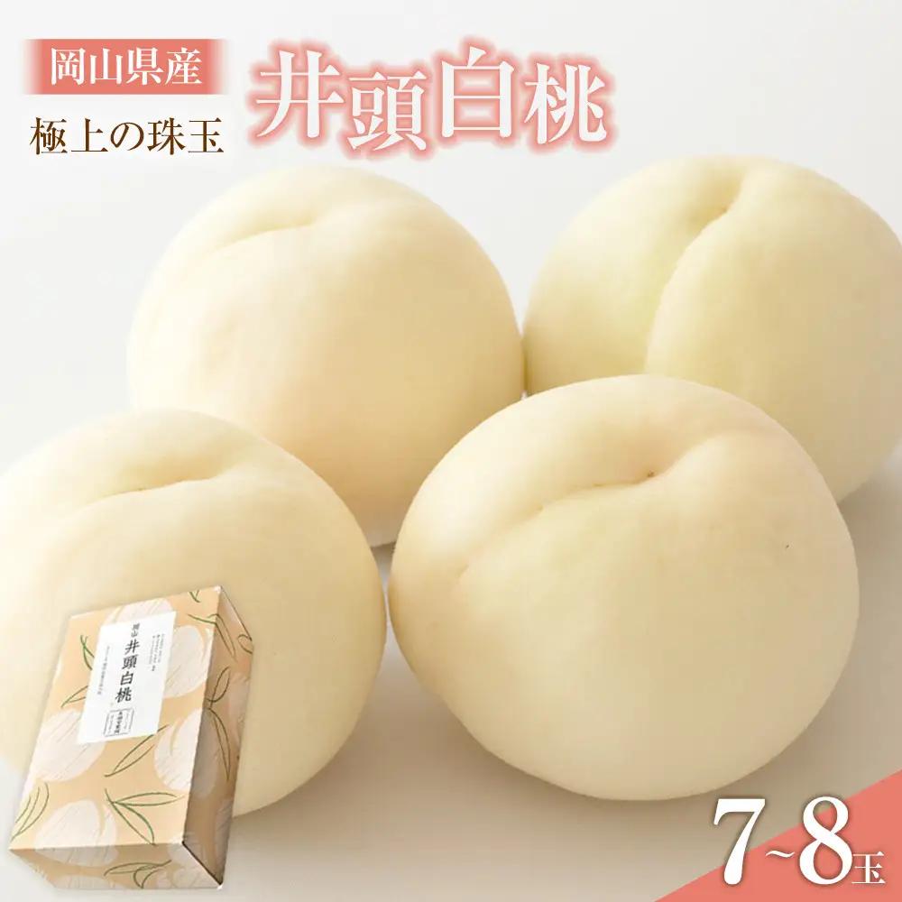 桃 2027年  井頭 白桃 7～8玉入り 2.2kg規格箱 もも モモ 岡山県産 国産 フルーツ 果物 ギフト 井頭栄果園