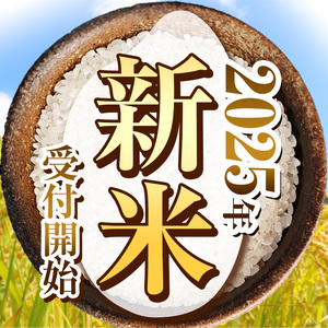 【栃木県共通返礼品】【先行予約】【11月発送】令和7年度新米 栃木県産とちぎの星 2kg×2 | 玄米 精米 お米 コメ とちぎの星 先行予約 ブランド米 栃木県 特産品  下野市 送料無料