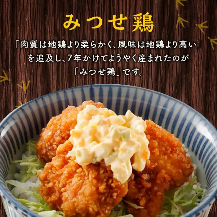 佐賀県産 みつせ鶏 ささみ南蛮 1kg（500g×2パック）鶏肉[FAE063]
