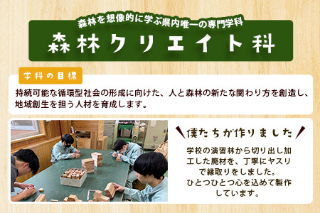 「木頭杉の積み木セット」徳島県立那賀高等学校 森林クリエイト科制作【徳島県 徳島 那賀町 高校生制作 積木 積み木 知育 木育 玩具 おもちゃ 知育玩具 木の積み木 幼児 教育 木頭杉 杉 天然木 木