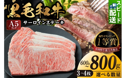 
                  東浦町産黒毛和牛『下村牛』サーロインステーキ 【選べる容量】│牛肉 牛 ステーキ サーロイン 高級 黒毛和牛 A5ランク 下村牛 焼肉 バーベキュー 愛知県 東浦町 東浦
                